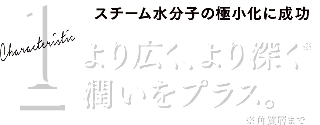 Characteristic 1
スチーム水分子の極小化に成功
より広く、より深く
潤いをプラス。※角質層まで
