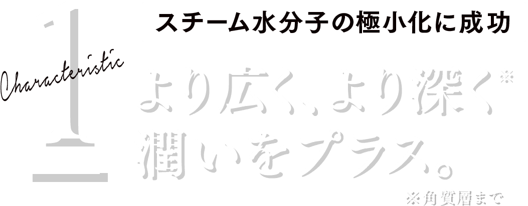 Characteristic 1 スチーム水分子の極小化に成功 より広く、より深く 潤いをプラス。※角質層まで 