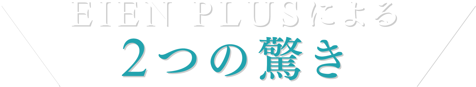 EIEN PLUSによる2つの驚き