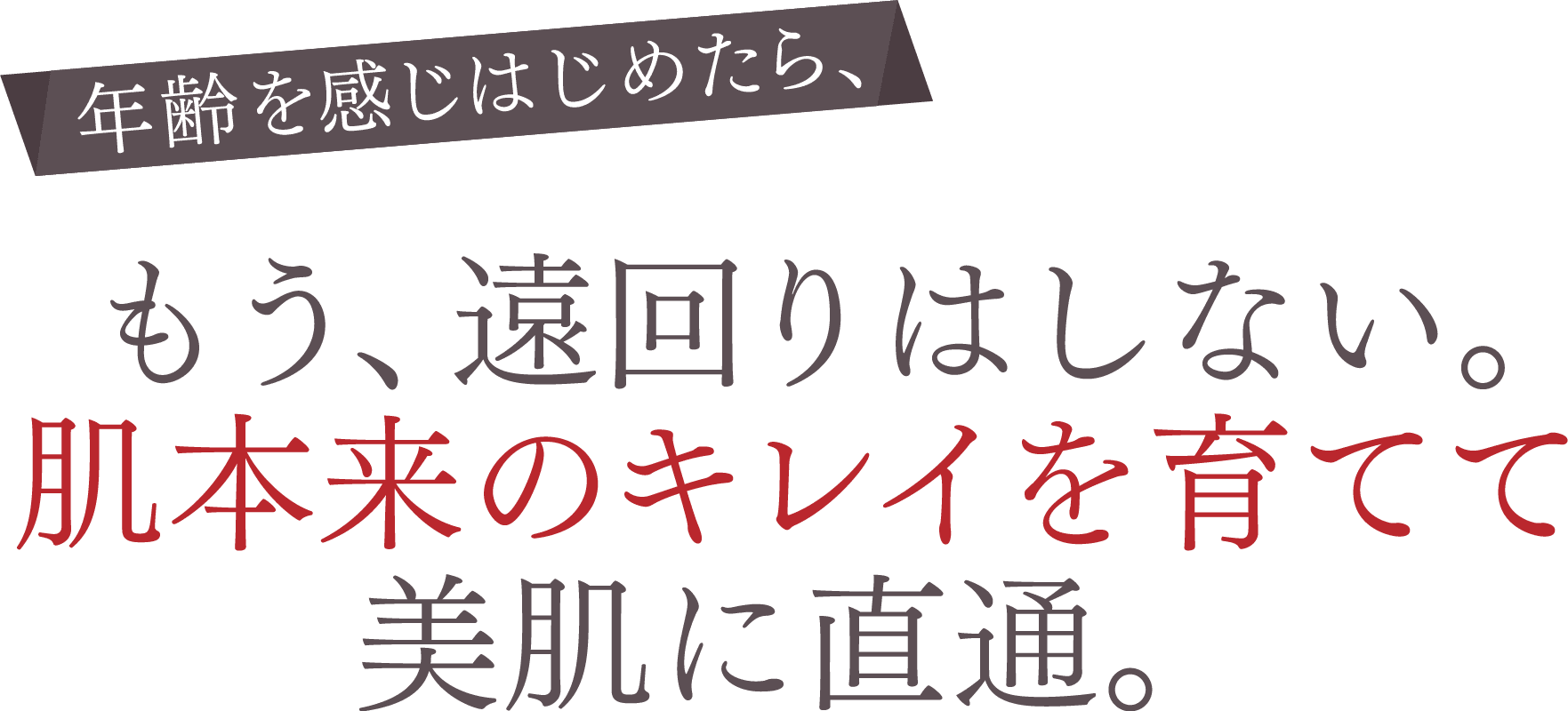 年齢を感じはじめたら、もう、遠回りはしない。肌本来のキレイを育てて美肌に直通。