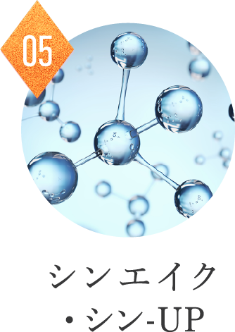 シンエイク・シン-UP