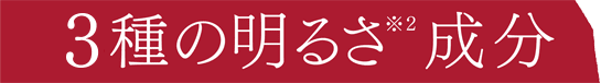 4種の明るさ※2 成分