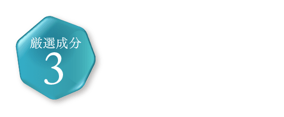 厳選成分3　お肌のすみずみまで※3 潤う保湿