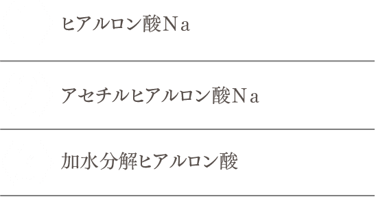 1.ヒアルロン酸Ｎａ　2.アセチルヒアルロン酸Ｎａ　3.加水分解ヒアルロン酸