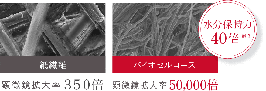 紙繊維 バイオセルロース 水分保持力40倍※3