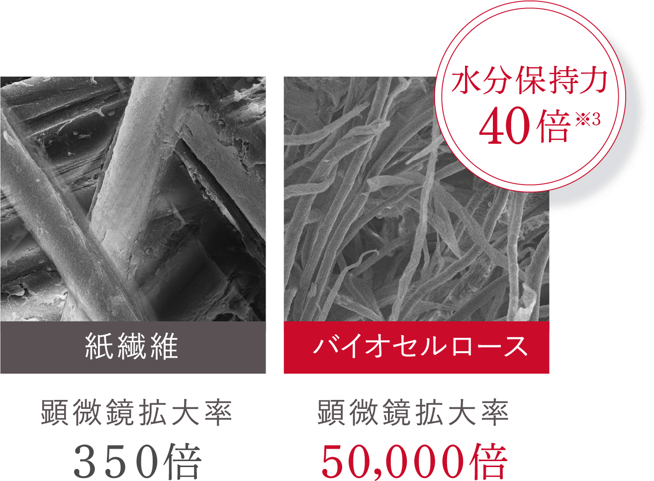 紙繊維 バイオセルロース 水分保持力40倍※3