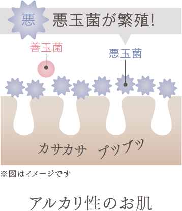 悪玉菌が繁殖！ ブツブツカサカサ　アルカリ性に傾いたお肌　※図はイメージです