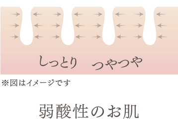 しっとり つやつや 弱酸性に戻ったお肌　※図はイメージです