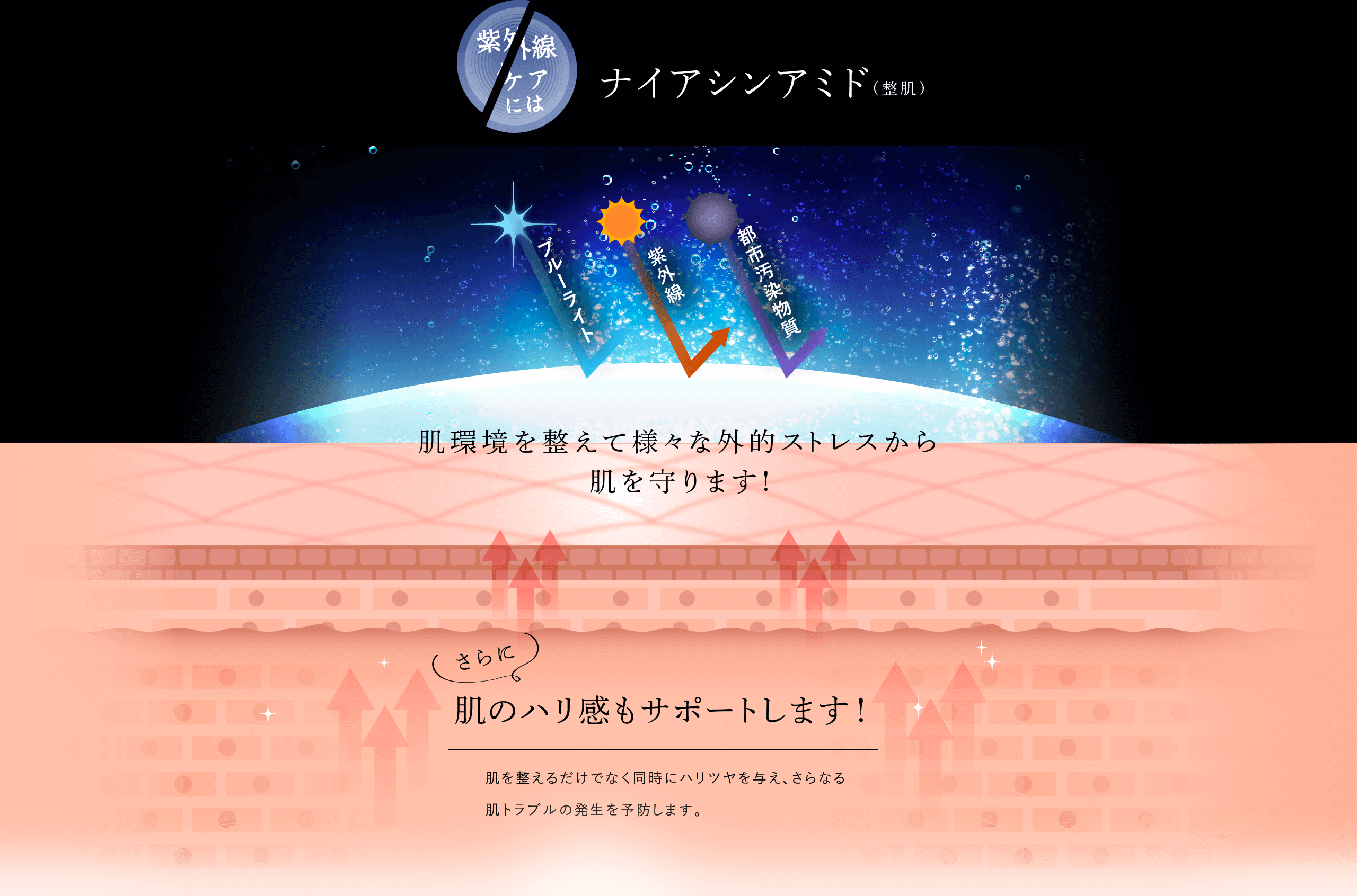 紫外線ケアには ナイアシンアミド(整肌) ブルーライト 紫外線 都市汚染物質 肌環境を整えて様々な外的ストレスから肌を守ります! さらに 肌のハリ感もサポートします!肌を整えるだけでなく同時にハリツヤを与え、さらなる肌トラブルの発生を予防します。