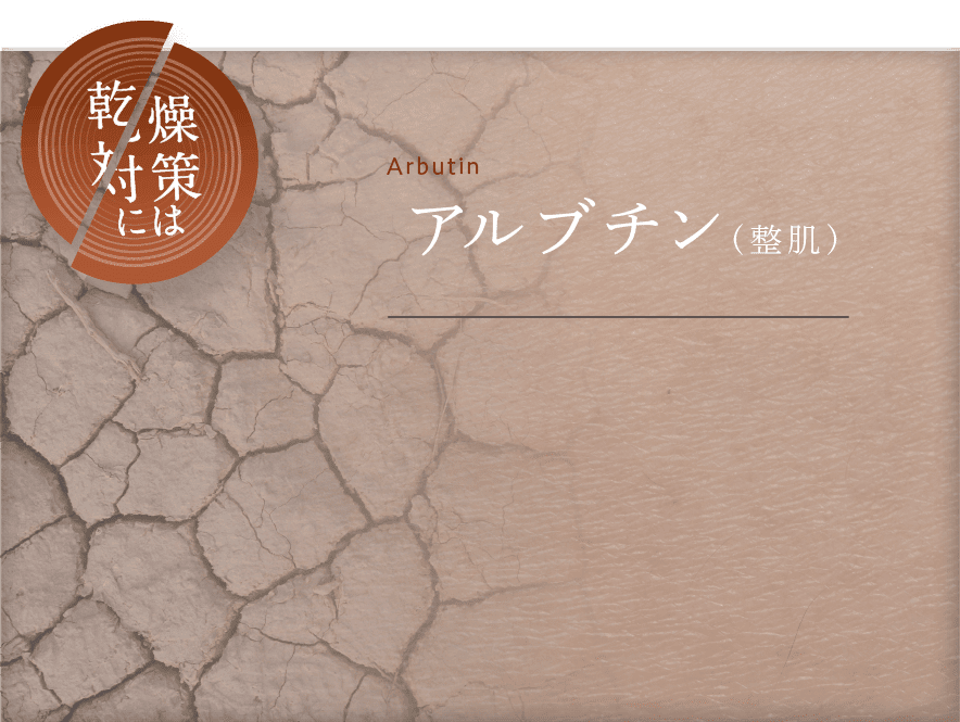 乾燥対策には Arbutin アルブチン(整肌)