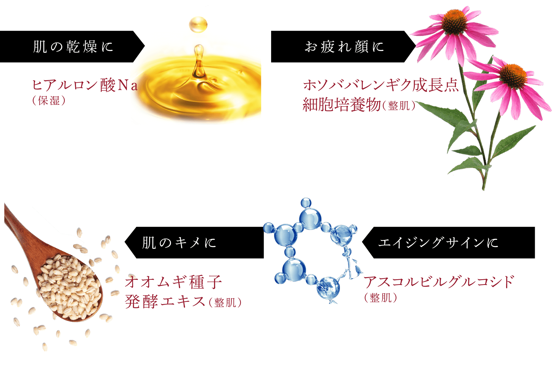 肌の乾燥に:ヒアルロン酸Na(保湿) お疲れ顔に:ホソババレンギク成長点細胞培養物(整肌) 肌のキメに:オオムギ種子発酵エキス(整肌) エイジングサインに:アスコルビルグルコシド(整肌)