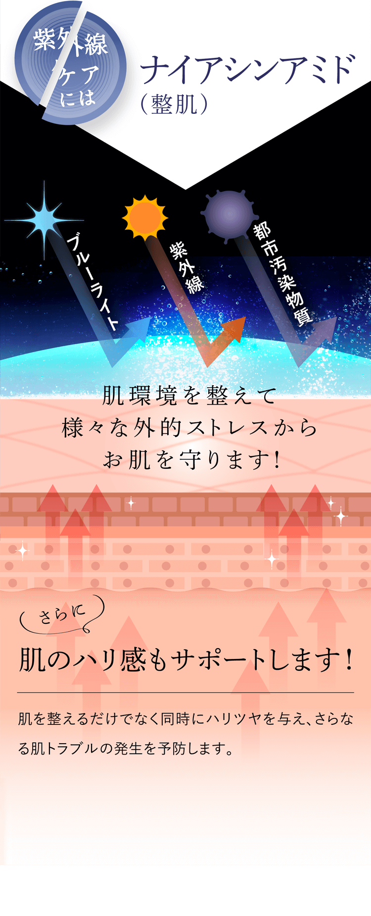 紫外線ケアには ナイアシンアミド(整肌) ブルーライト 紫外線 都市汚染物質 肌環境を整えて様々な外的ストレスから肌を守ります！ さらに 肌のハリ感もサポートします！肌を整えるだけでなく同時にハリツヤを与え、さらなる肌トラブルの発生を予防します。