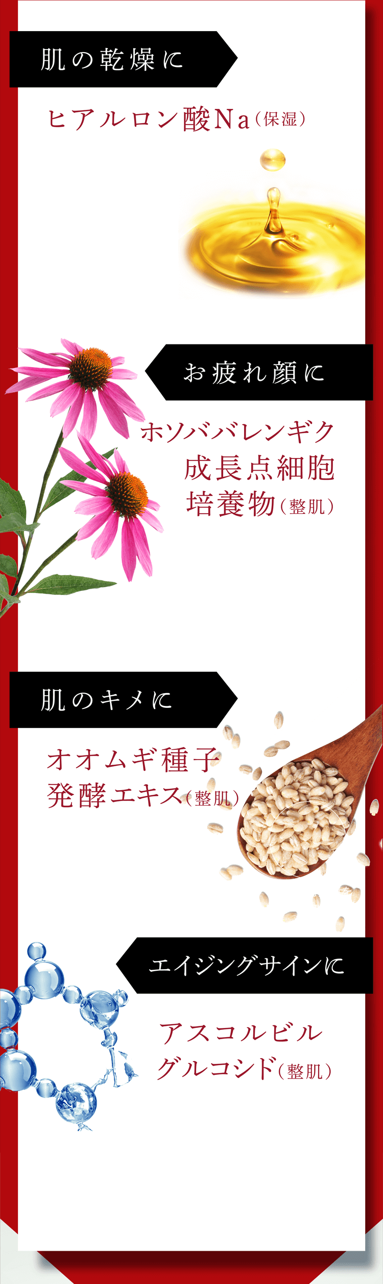 肌の乾燥に:ヒアルロン酸Na(保湿) お疲れ顔に:ホソババレンギク成長点細胞培養物(整肌) 肌のキメに:オオムギ種子発酵エキス(整肌) エイジングサインに:アスコルビルグルコシド(整肌)