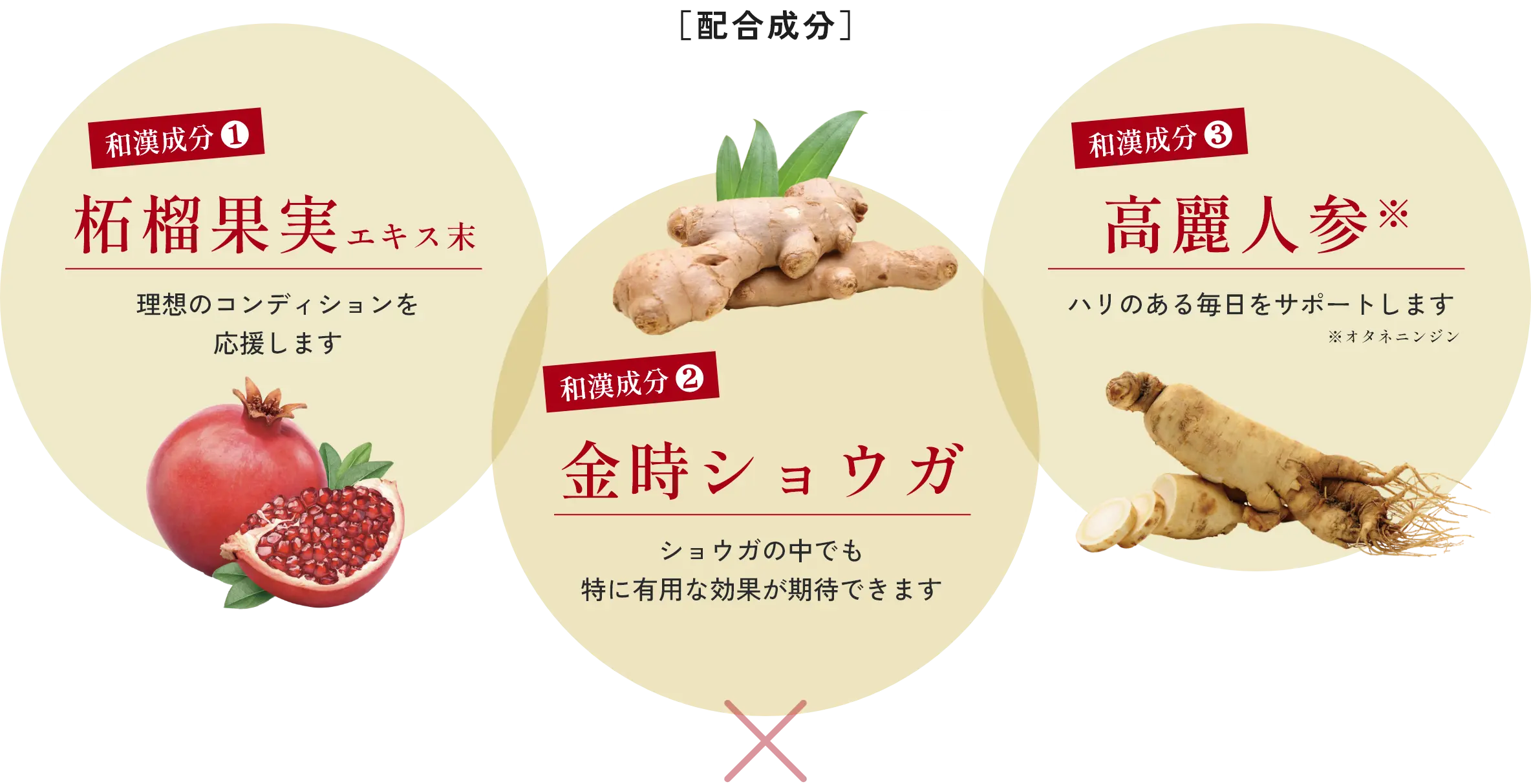 柘榴果実エキス末 金時ショウガ 高麗人参※