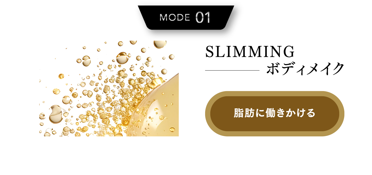MODE01:ボディメイク-脂肪に働きかける